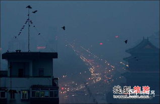 ��ѻ��Ⱥ���ʲôԤ�� �Ⲣ����ζ��ʲô