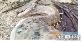 2016�������������� �����������ű���ɵ��