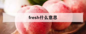 freshʲô��˼ �����ݴ�ʱ��Ϊ���ʵ�