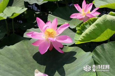 ������������������ʲô ��������Ů����Щ�ط���