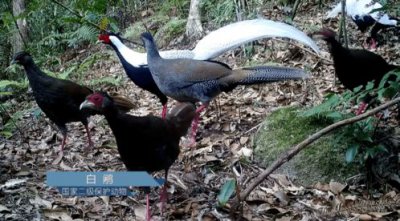 ���ж�����ʲô��˼ �ͱ���������ʲô����