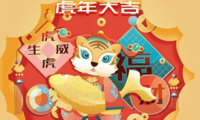 Ϊʲô���겻Ҫ���� �����鲻�ò�����