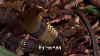 �۾����ߵ������ʲô���� �B�ǲ��������