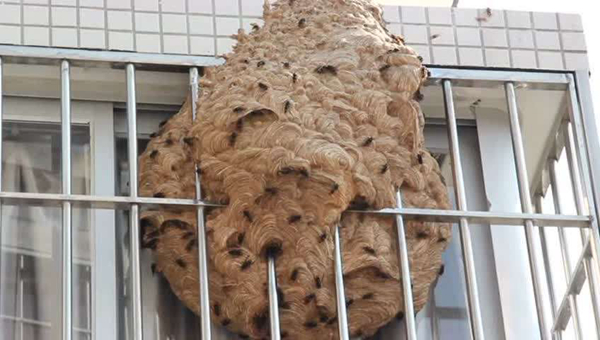 �����������ѵ�Ԥ�� ��������������������ô��