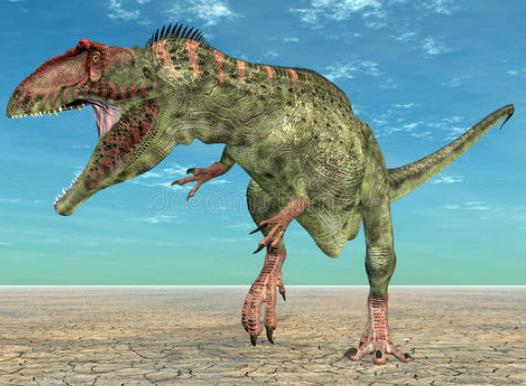 �Ϸ��������Ͱ�����˭���� ���������ص���ʲô