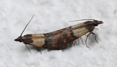 ������Ӷ���ô��Դͷ ʲô���ĵط������׳�������