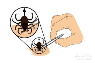 �����ôԤ�� Ƥ��ͿĨ����������޸�ɽ�ٲ���