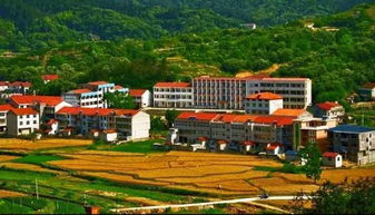 ��������ǲ��Ǻ��� �������������������������