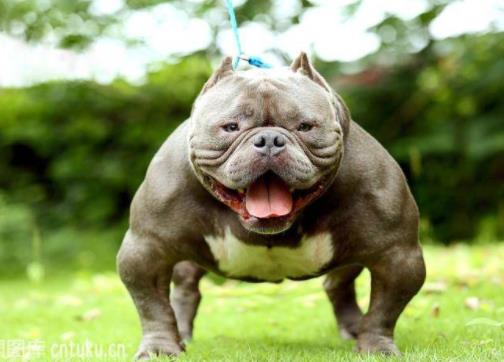 ���ȮΪʲô������ Ϊɶ���Ķ����