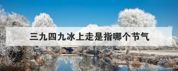 �����ľű�������ָ�ĸ����� ��ʮ�Ľ�����˳����