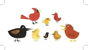 �ž���Ϊʲô������ ��Ҫԭ���Ƕž鲻��ѧϰ��Щ����