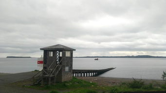 �������ĸ��� ��������������