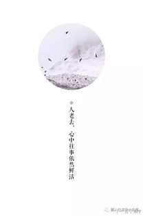 你知道为什么乌鸦像写字台吗 爱丽丝似乎在转圈圈
