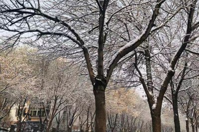 抖音老君山在哪里 洛阳在抖音上为什么那么火