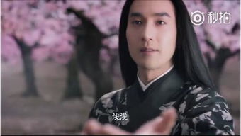 �Ĳ��۾���˭ �ƹ�ʿ�˹���»λ֮��