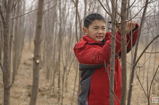 ��������� ������2002��7��2��