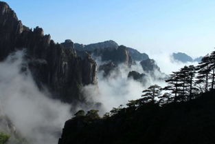 为什么很多人不去庐山 中国人需要买门票