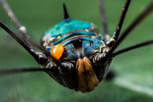 ������Ϊʲô���ܴ��� ���Էǳ����޿��Դ���