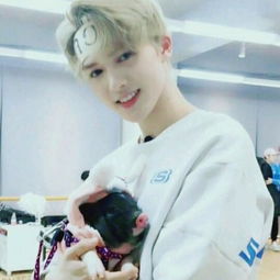 ������������� ���������ָ����ԭ��