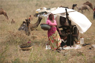 �й��ļ���������ָ�ĸ��ط����� ��һ���Ĵ����˵���������