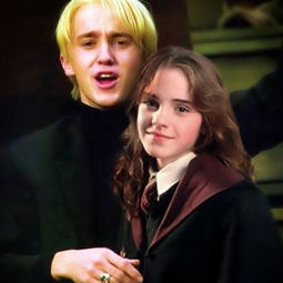 ������ϲ�������� ��������ϣ���͹���������