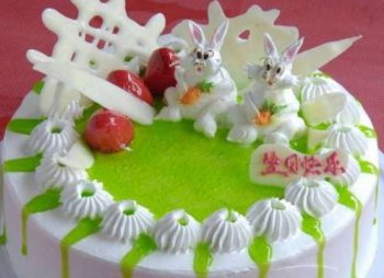 8�絰���� ֱ��20cm�ʺ�4-6���˳�