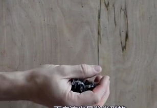 o型血为什么叫熊猫血 其实o型血不是熊猫血