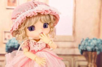 doll��ʲô��˼���� ��֪�����������޵���˼