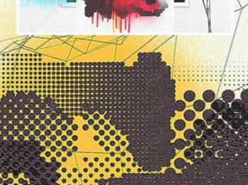 ������Ӣ����ô�� Ӣ������Phoenicopteridae