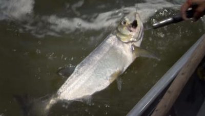 �������ʲô���� ѧ��������������������Ǯһ��