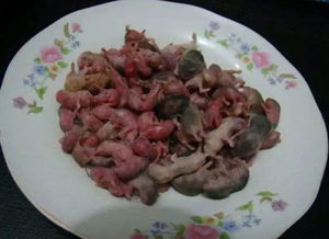 ��֨���㶫��������� ����ʵ���ڵ�һ����Ʒ