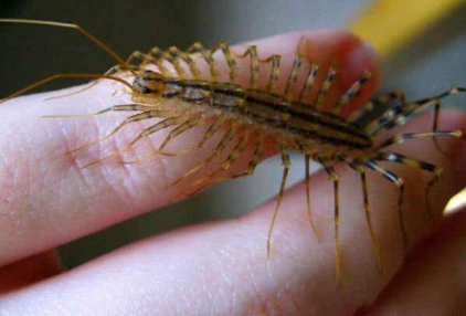 �����ж��� ��������滹�Ǻ���