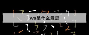 ws��ʲô��˼ ���ƴ����д�ʺ���
