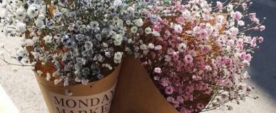 �����ǵĻ����Ԣ����ʲô �����ǵ�Ԣ����ʲô��˼