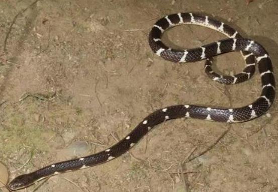 ������·�������ߺ��� �Ǽ������� ����·��ʲô����