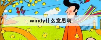 windyʲô��˼�� ���Ӣ�ĵ��ʵĶ����÷�