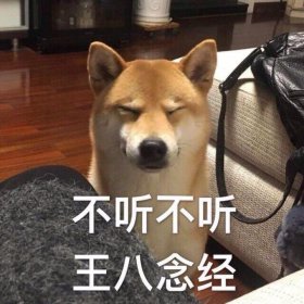 如何回复不听不听王八 不听不听王八念经下一句是啥