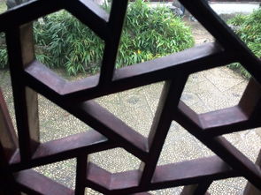 �������з���Ԥʾʲô ���з���Ԥʾʲô��ˮ