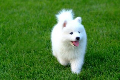 ����ĦҮ��Ů��Ϊʲô����Ȣ ��ҪԴ������������̬