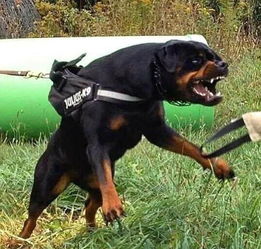 ���˴������ɻ���ô�� ���Բ�ȡһЩ�ʵ��ĳͷ���ʩ