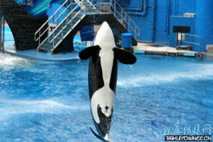 �����������൱���˵ļ������ ��15����˲�������