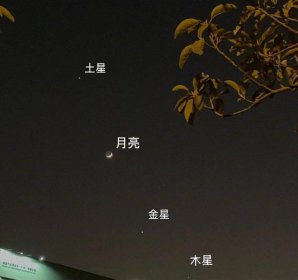 ��������Ԥʾ��ʲô û��ʲô�����Ԥ�׵���������