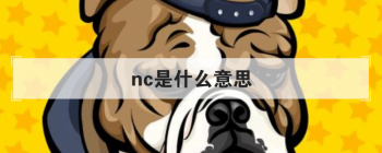 nc��ʲô��˼ �������ԲС���ƴ����д
