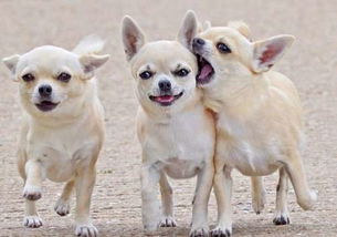 Ϊʲô�������������� �ܶ���û��������