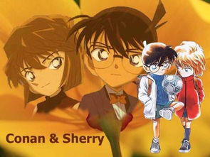 ����̽���ϴ�����ʲô Ϊʲô���������Ĳ���