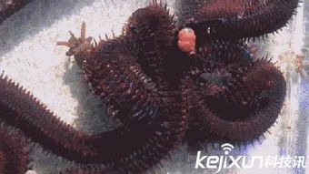 �����س��ж��� ����ͨ����Ԫ�ṹ���ڳ����ⶾ��