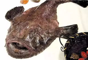 �ٺ��ܳ��� �Է��ܼ�