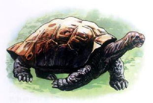 ������궼�������  û�����