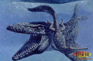 ����������˭�� ��������