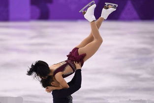 ���ľ������������� ��η��Ϲ���������